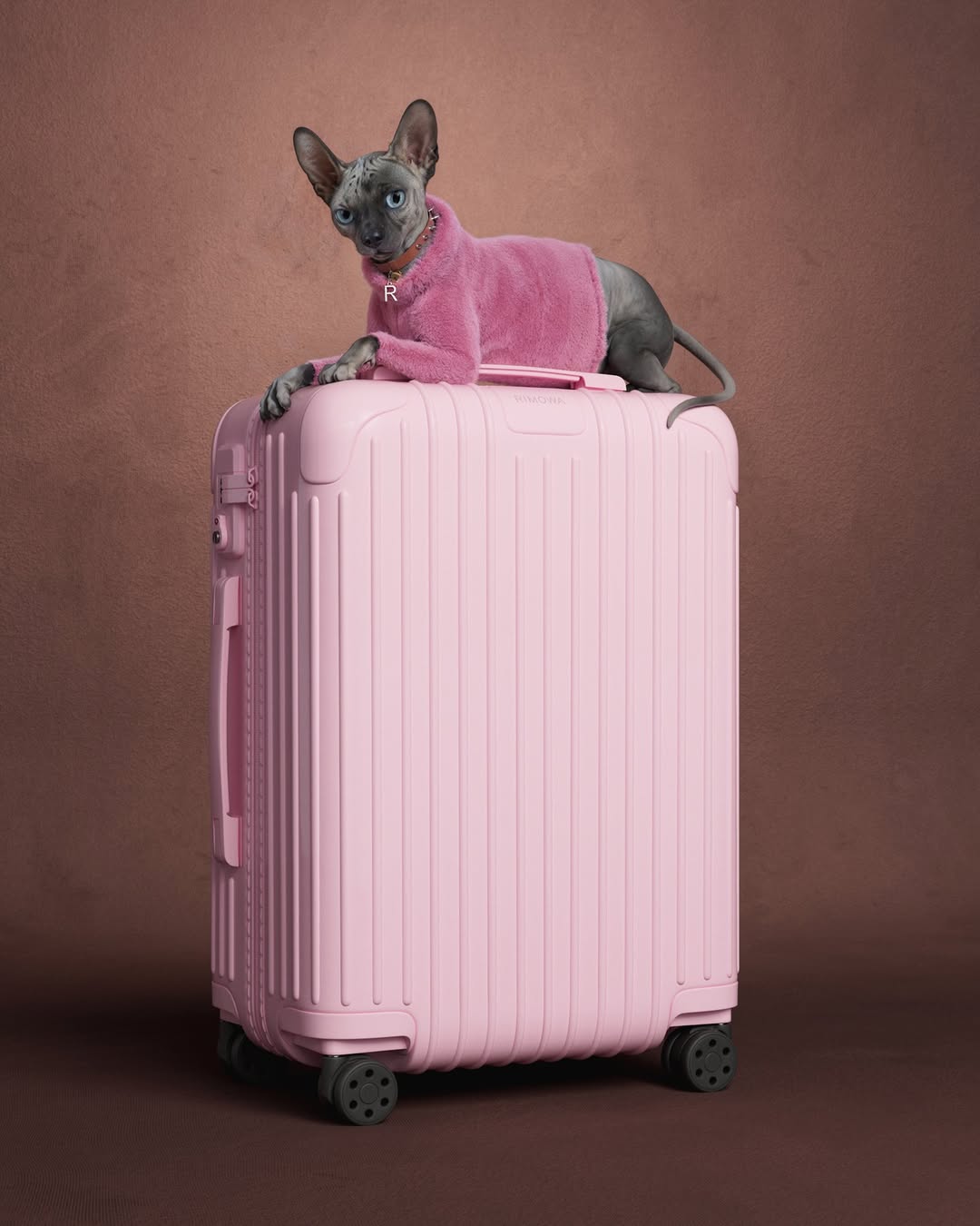 Kako da uskladite autfit i boju kofera? Brend Rimowa ima sjajne predloge