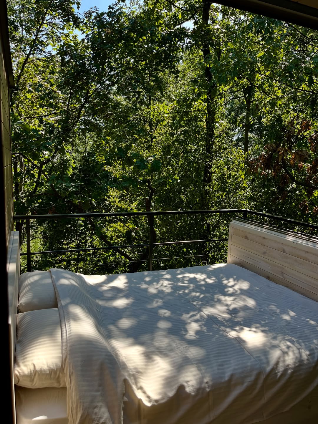 Odmor u prirodi, but with a little twist: Ova kućica na drvetu je sinonim za „oazu mira”