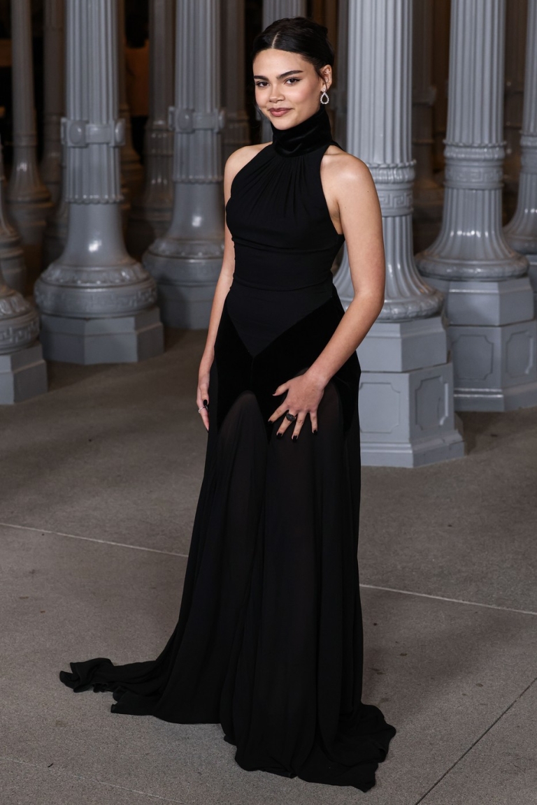 LACMA Art + Film Gala 2025: Najbolje odevene zvanice